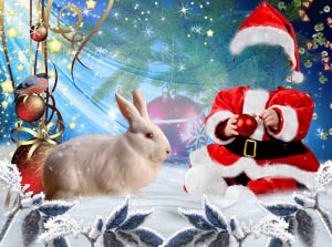 http://yrokityt.at.ua/hablonu2/2687-2000_santa_i_krolik.jpg