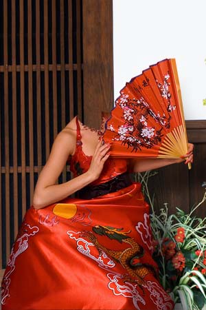 http://yrokityt.at.ua/hablonu2/japan_lady.jpg